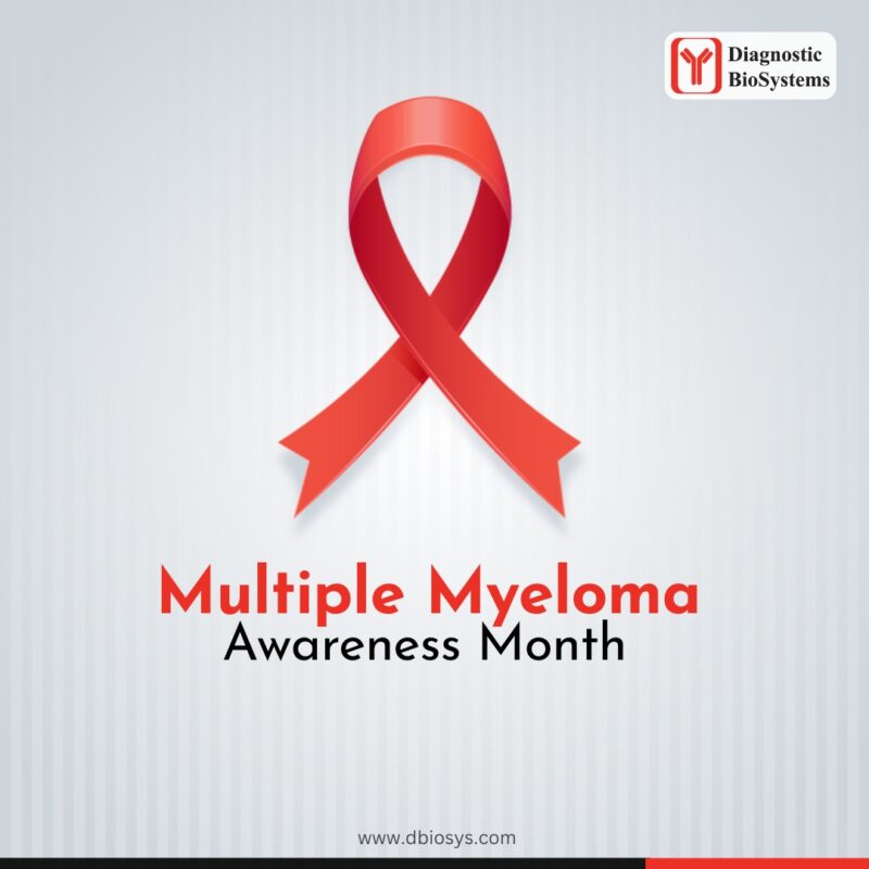 V1 Multiple Myeloma 2026